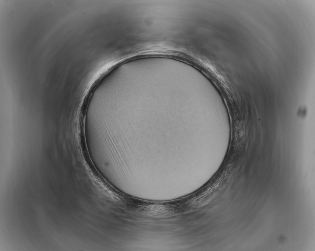 X0000097881463200804110937