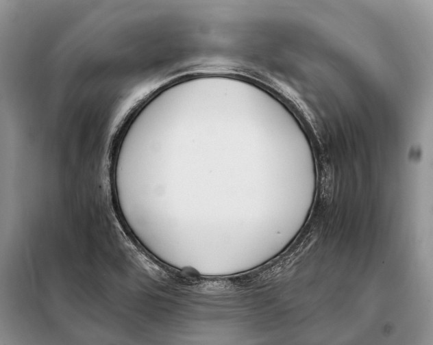 X0000097881464200804110937