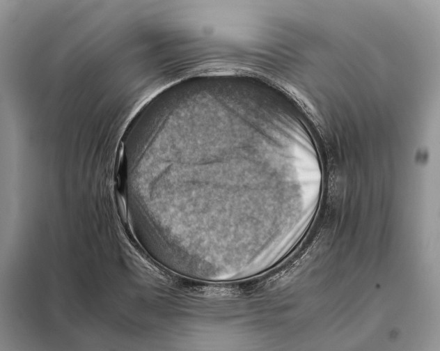 X0000097881465200804110937