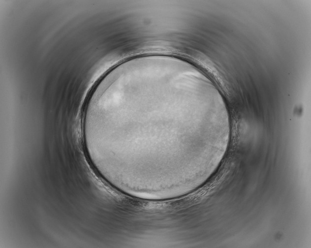 X0000097881466200804110937