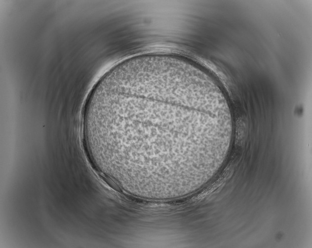 X0000097881467200804110937