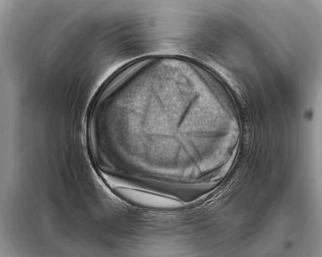 X0000097881468200804110937