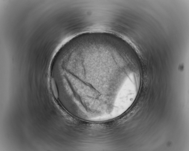 X0000097881469200804110937