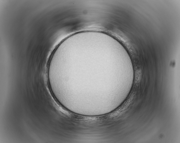 X0000097881470200804110937