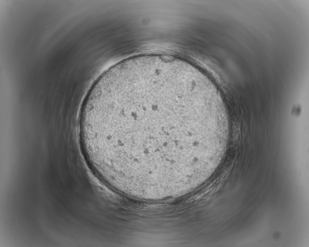 X0000097881471200804110937