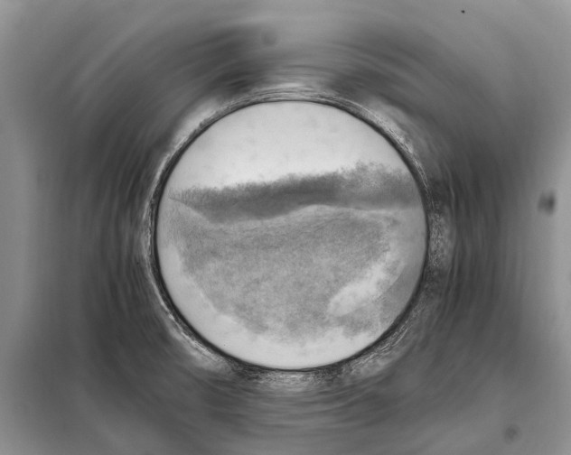 X0000097881474200804110937