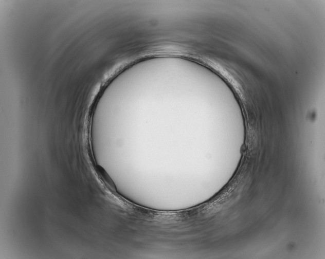 X0000097881477200804110937