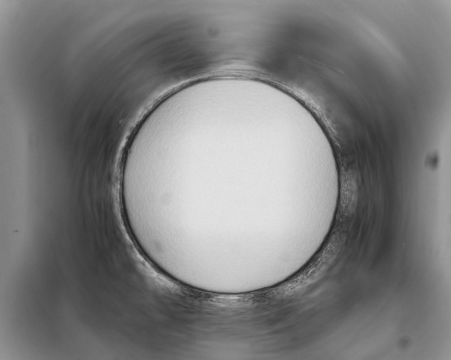 X0000097881478200804110937