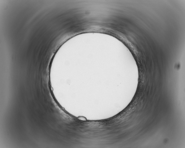 X0000097881479200804110937