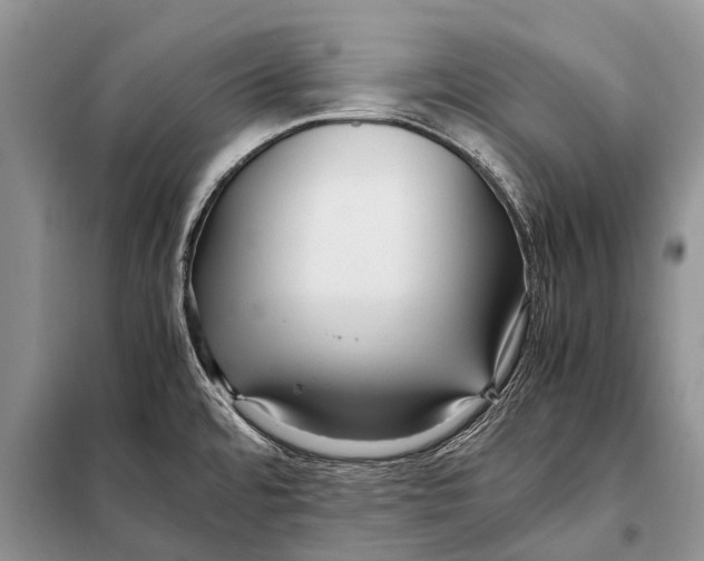 X0000097881480200804110937