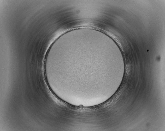 X0000097881482200804110937