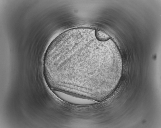 X0000097881483200804110937