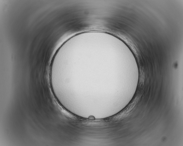 X0000097881486200804110937