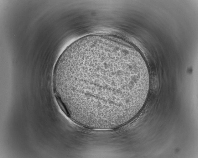 X0000097881487200804110937