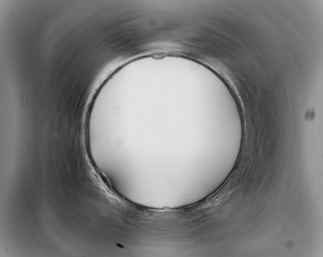 X0000097881488200804110937