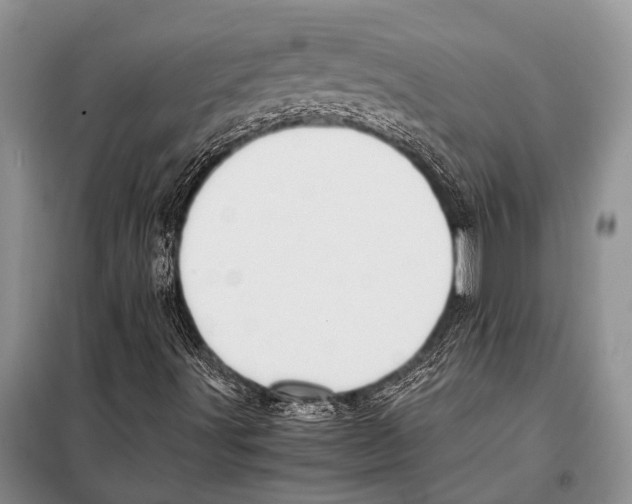 X0000097881491200804110936