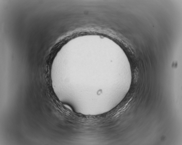 X0000097881494200804110936