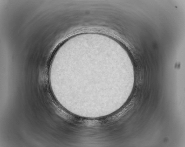 X0000097881498200804110936