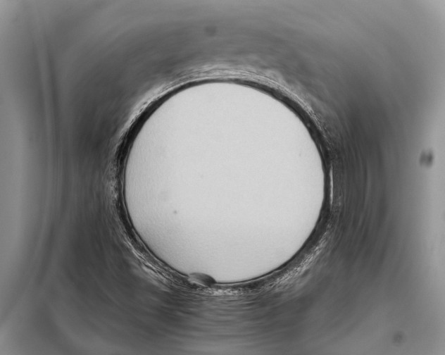 X0000097881501200804110936