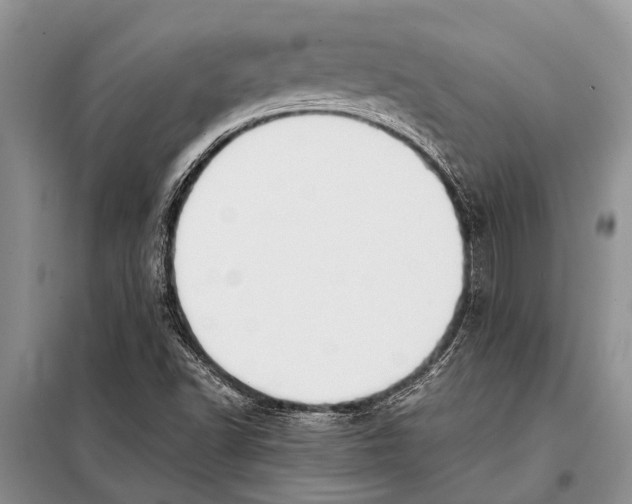 X0000097881502200804110936