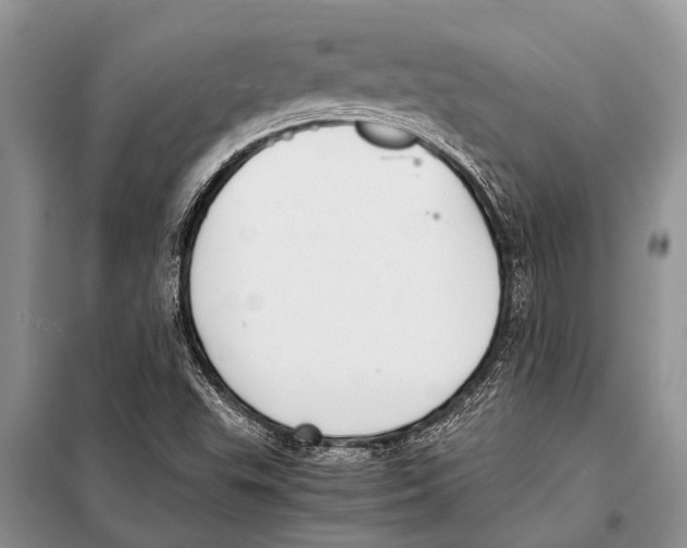 X0000097881503200804110936