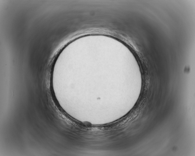 X0000097881504200804110936