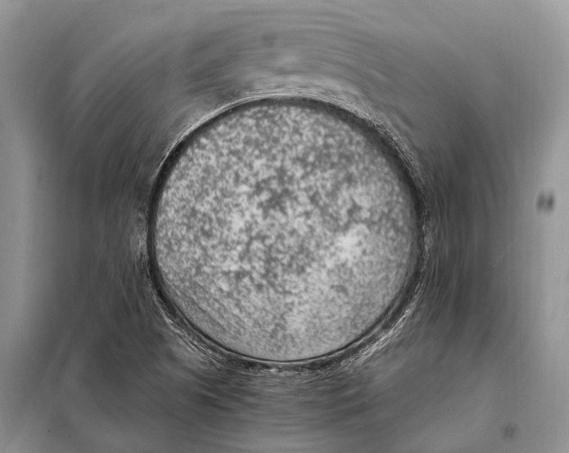 X0000097881505200804110936