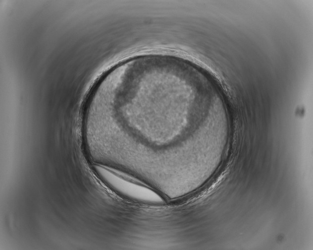 X0000097881506200804110936