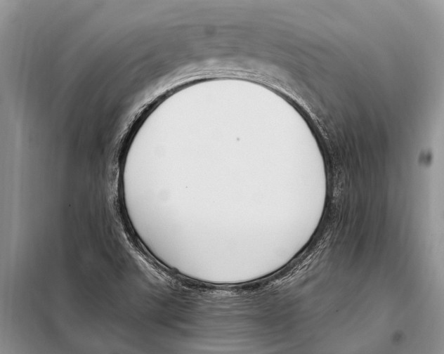 X0000097881507200804110936