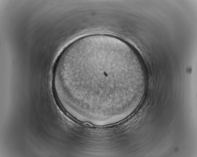 X0000097881508200804110936