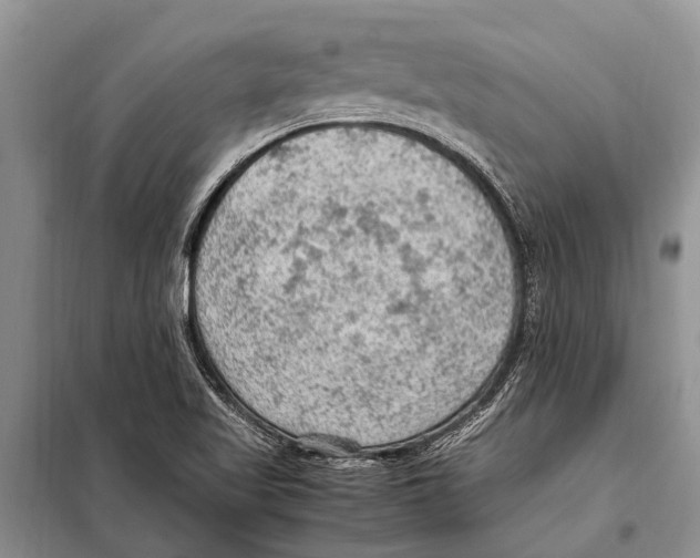 X0000097881509200804110936