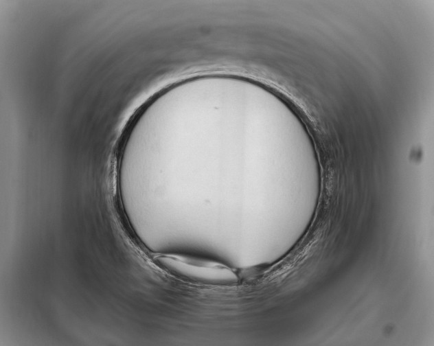 X0000097881510200804110936