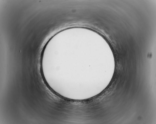 X0000097881512200804110936