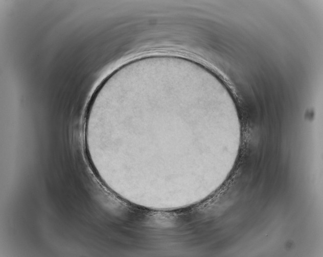 X0000097881514200804110936