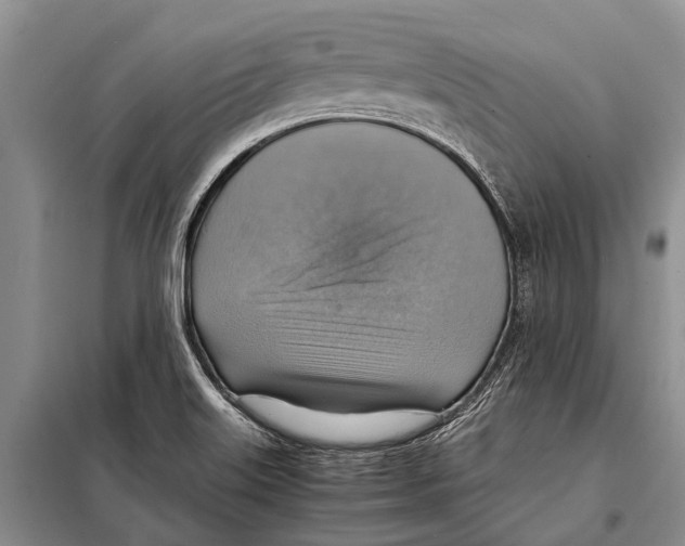 X0000097881515200804110936