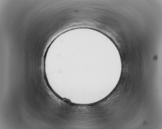 X0000097881516200804110936