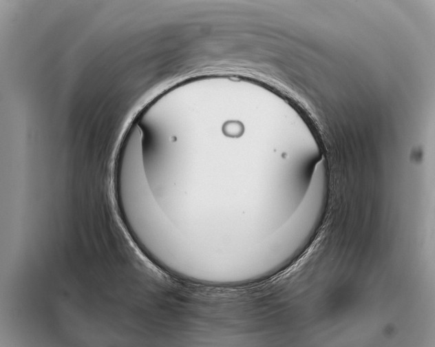 X0000097881517200804110936