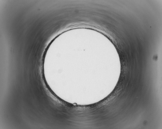 X0000097881518200804110936