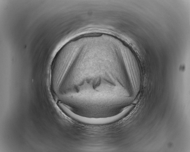 X0000097881520200804110936