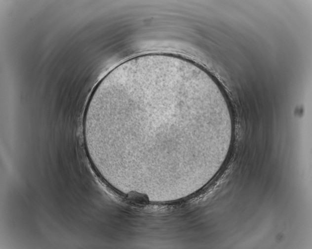 X0000097881521200804110936