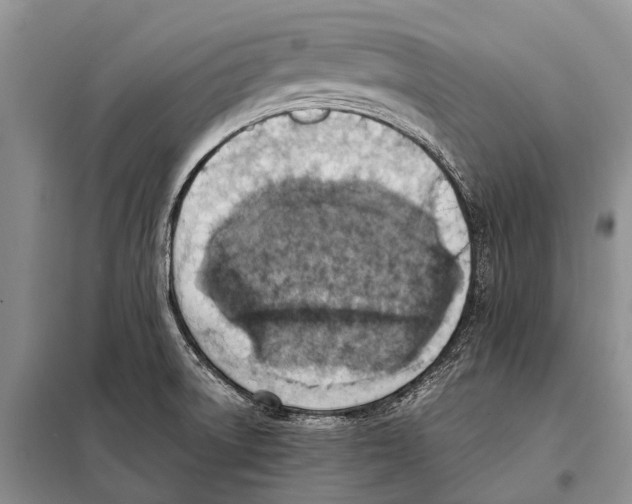 X0000097881522200804110936