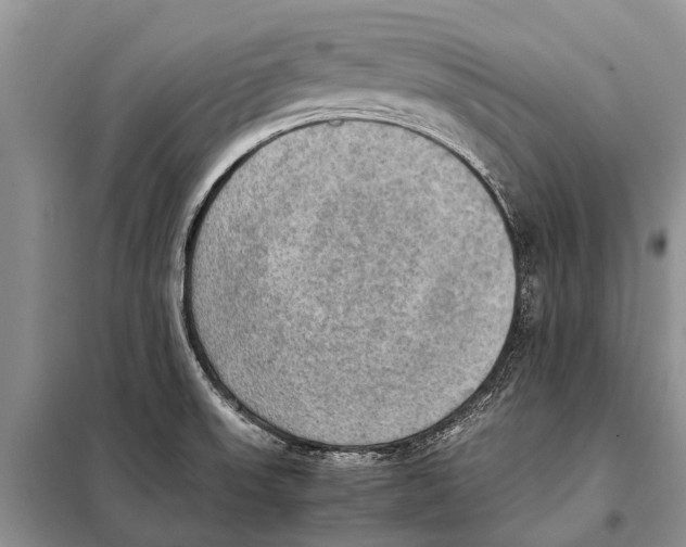 X0000097881523200804110936