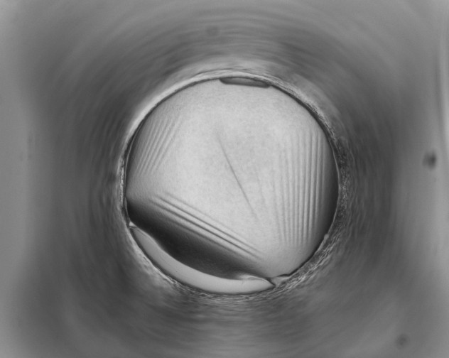 X0000097881524200804110936