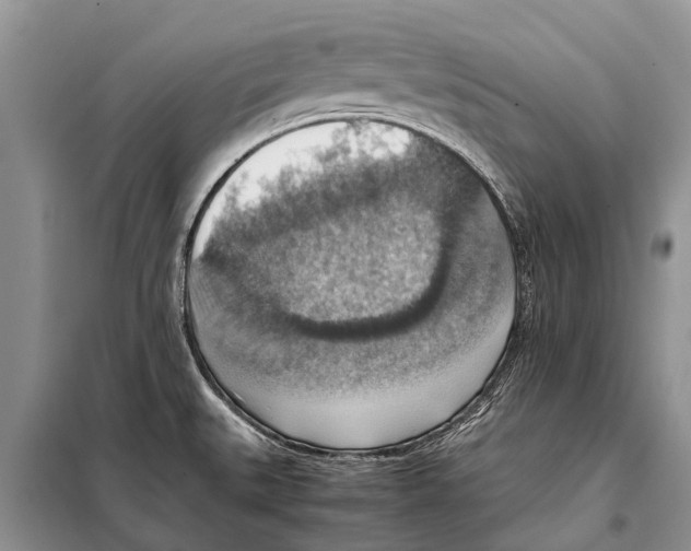 X0000097881527200804110936