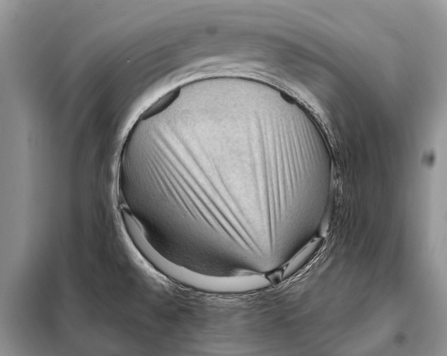 X0000097881528200804110936