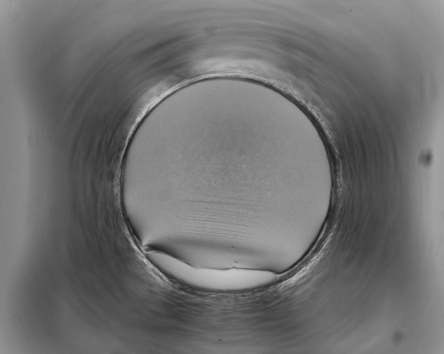 X0000097881529200804110936