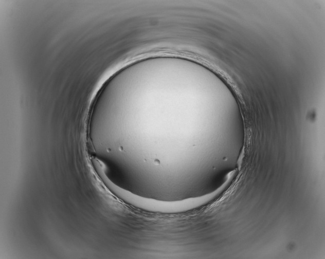 X0000097881530200804110936