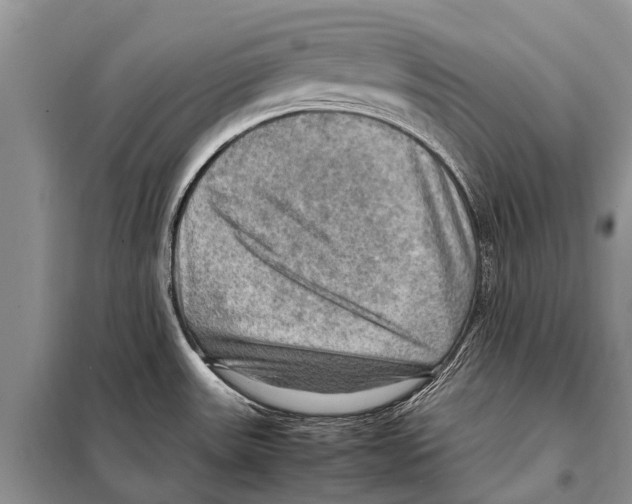 X0000097881531200804110936