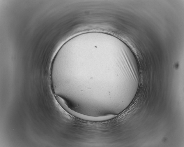 X0000097881532200804110936