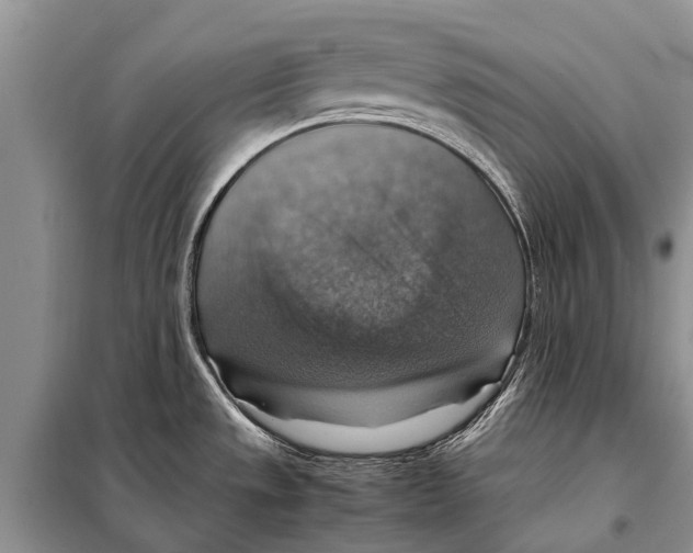 X0000097881533200804110936